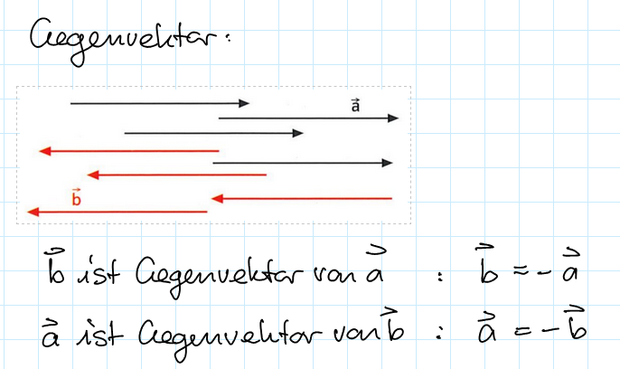 Gegenvektor-Beispiel